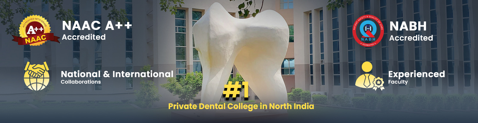 Tooth Statue Banner Size 2.0.jpg